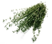 Fesleğen Kurusu Özellikleri ve Faydaları Nelerdir?